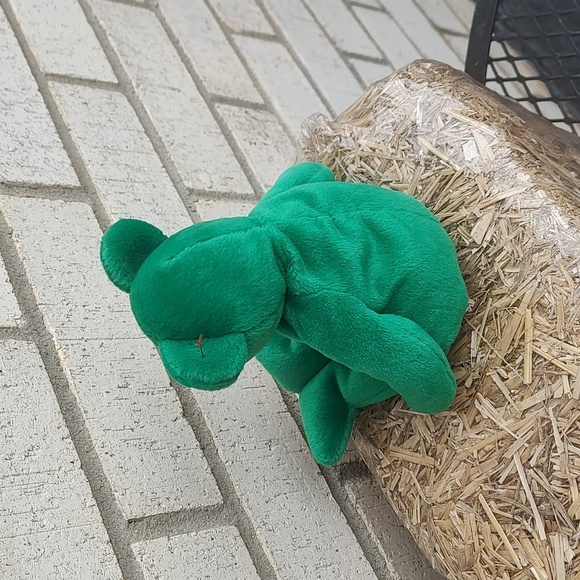 Ty green beanie baby - Picture 5 of 7